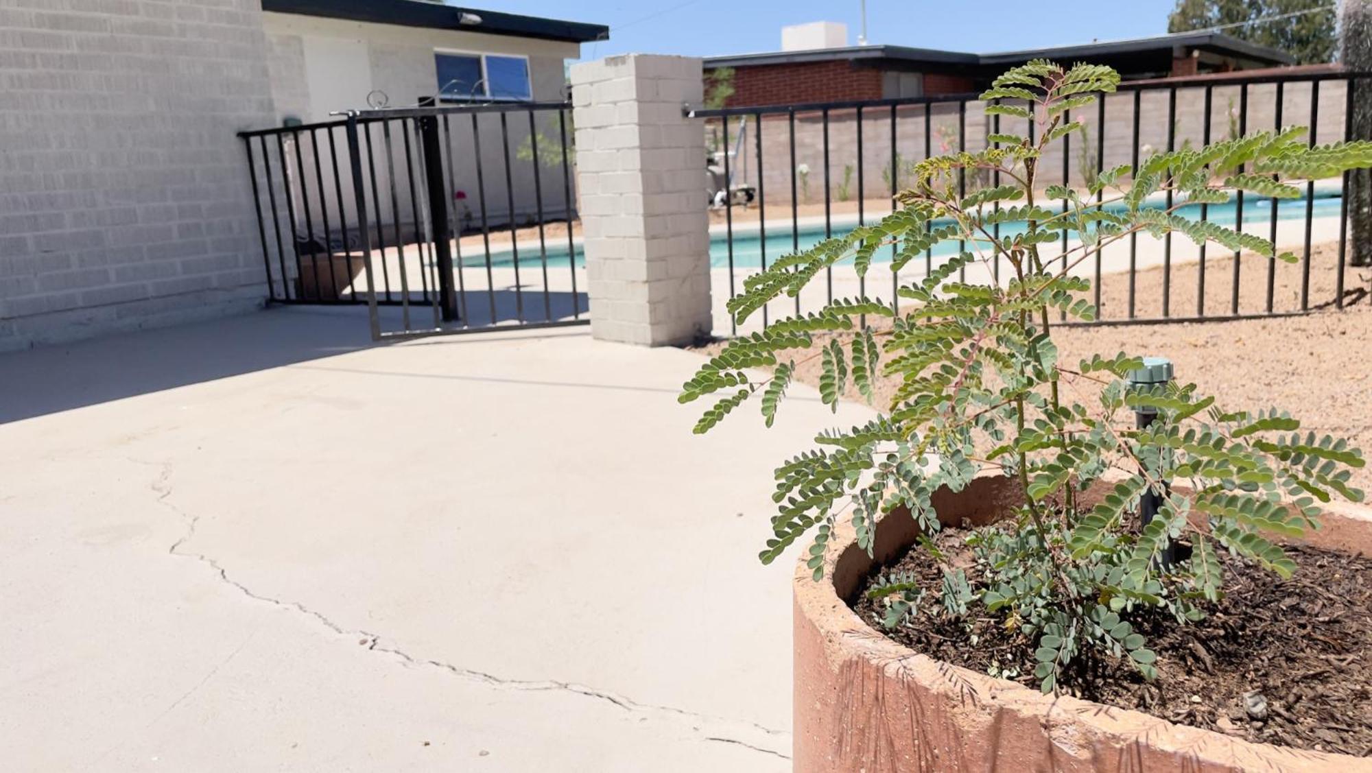 Private Home - Heated Pool, Billiards, Darts, Foosball, Fireplace, 5 Smart Tvs, Bbq, Cotton Bedding - The Saguaro Sanctuary, Pool Heat Optional Tucson Ngoại thất bức ảnh